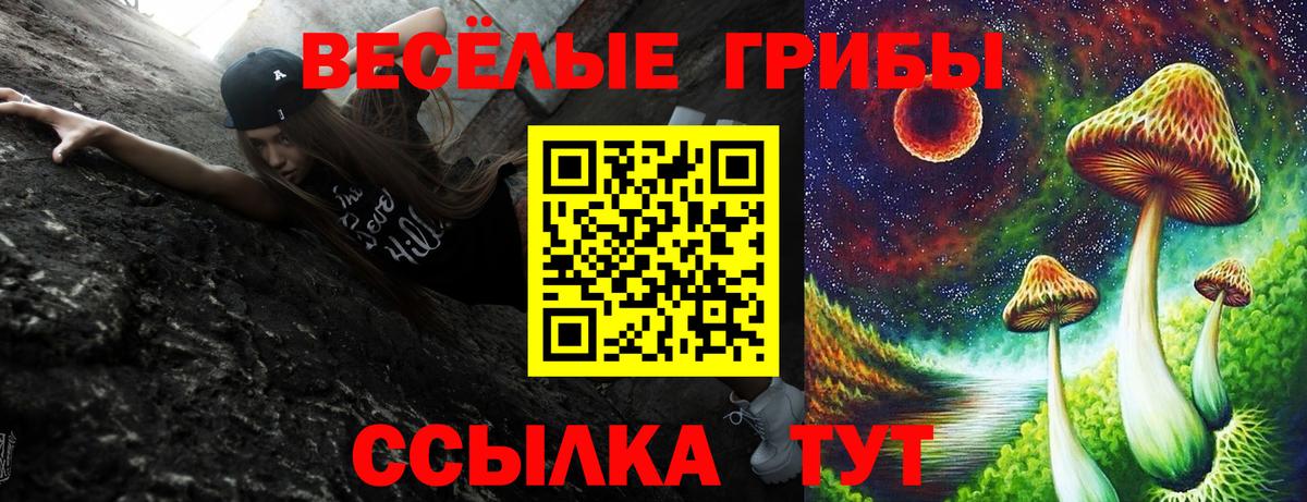 Шарыпово  Псилоцибиновые грибы GOLDEN TEACHER  Вход с VPN  магазин продажи наркотиков  Псилоцибиновые грибы Psilocybine cubensis 